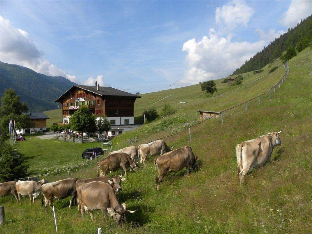 Hotel Restaurant Walliser Sonne Reckingen Экстерьер фото
